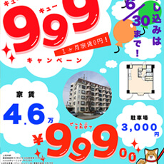 999キャンペーン